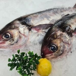 Blue Warehou - Whole, Gilled, Gutted and Scaled