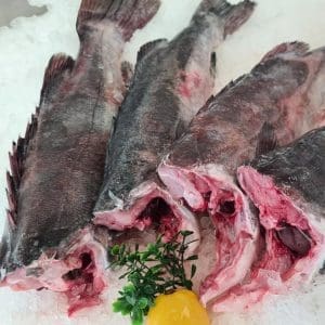 Groper - Headed and Gutted