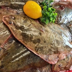 Sand Flounder - Gutted