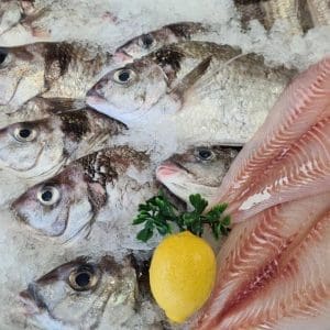 Tarakihi - Whole, Gilled, Gutted and Scaled