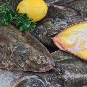 Yellow Belly Flounder - Gutted