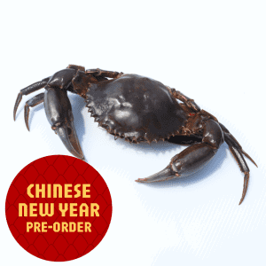 CNY - Mud Crab Whole (Frozen)