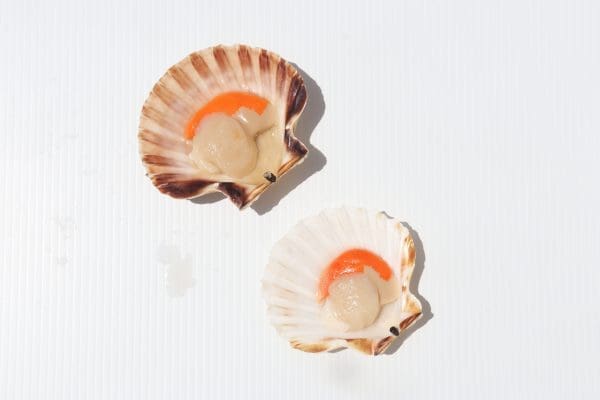 Half Shell Scallops (1kg)