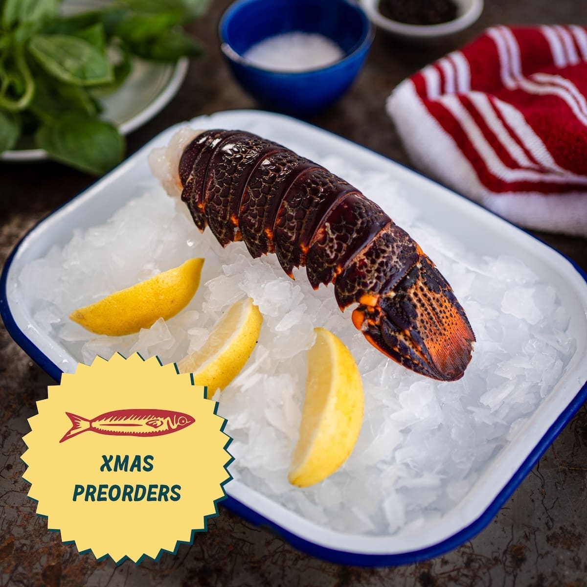 XMAS PRE-ORDER: New Zealand Crayfish Tails (180-230g)