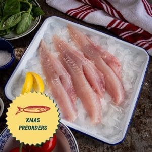 XMAS PRE-ORDER: Gurnard - Fillets, Skinned and Boned